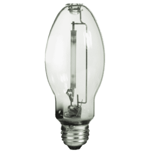 Clear glass light bulb on white background.
