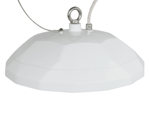 White ceiling light fixture with ring.