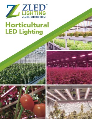 ZLEDLighting - LED Lighting Manufacturer